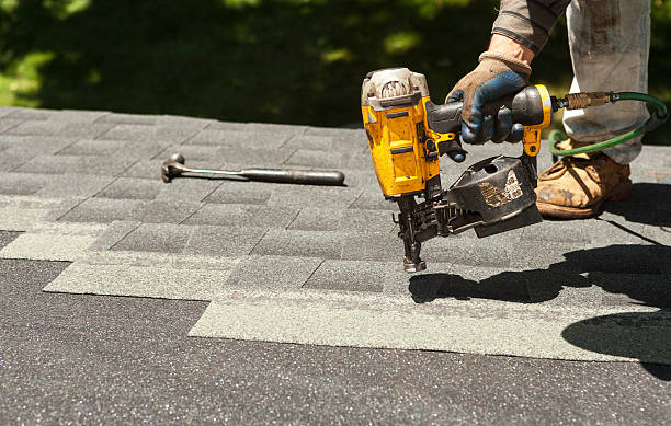 Best Roof Gutter Cleaning  in Awendaw, SC